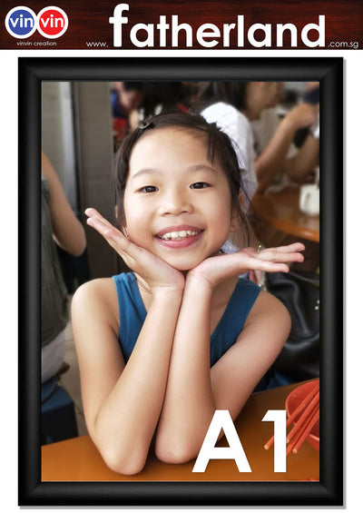 ALUMINIUM SNAP FRAME A1 ( BLACK )