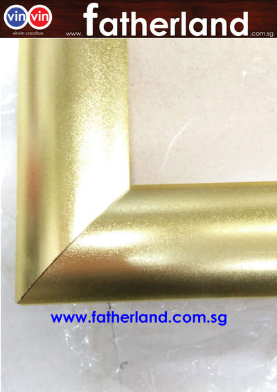 ALUMINIUM SNAP FRAME  A2 ( GOLD TG SERIES )