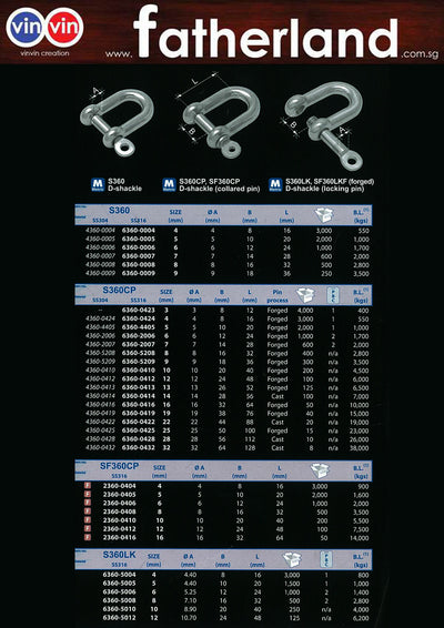 5MM S/S D-SHACKLE