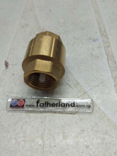 1/2" SPRING LOADED BRASS CHECK VALVE