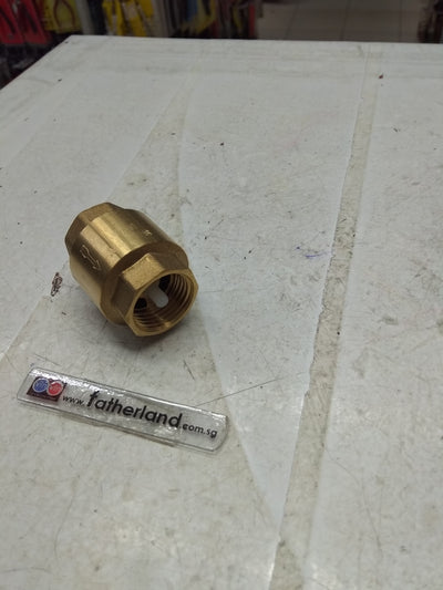 1/2" SPRING LOADED BRASS CHECK VALVE