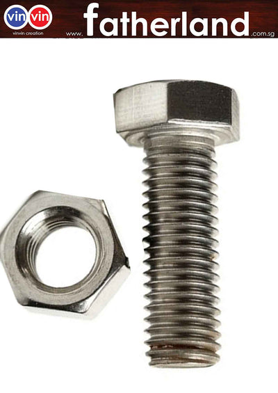 Stainless Steel Hex Bot / Nut ( 100pcs )