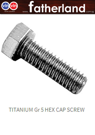 Titanium Gr 5 Hex Bolt  full thread or half thread) DIN931/DIN933